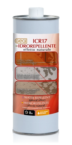 ICR17