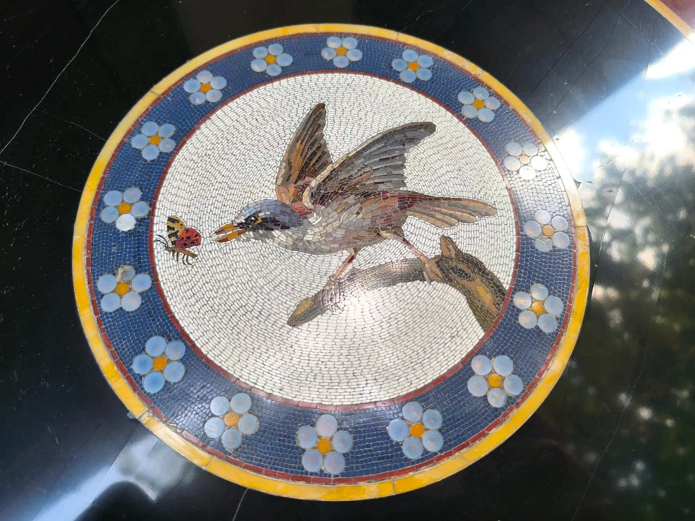 Détail du médaillon en mosaïque de marbre (colibri et coccinelle), tesselles nettoyées et polies